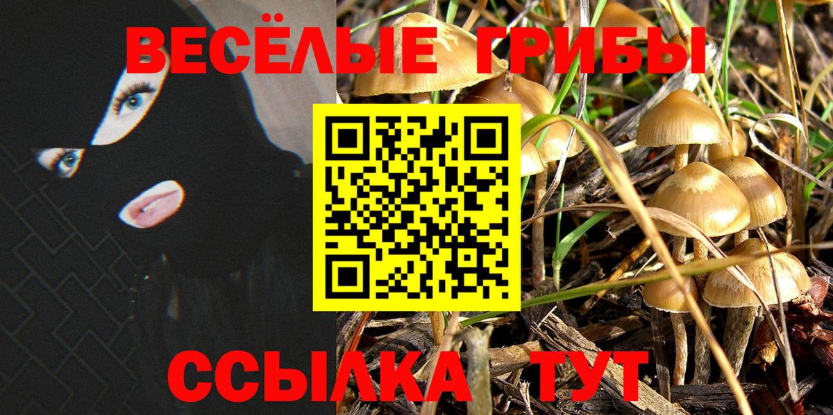 Тихвин  Псилоцибиновые грибы GOLDEN TEACHER  наркотики  Галлюциногенные грибы MAGIC MUSHROOMS  Вход с VPN 