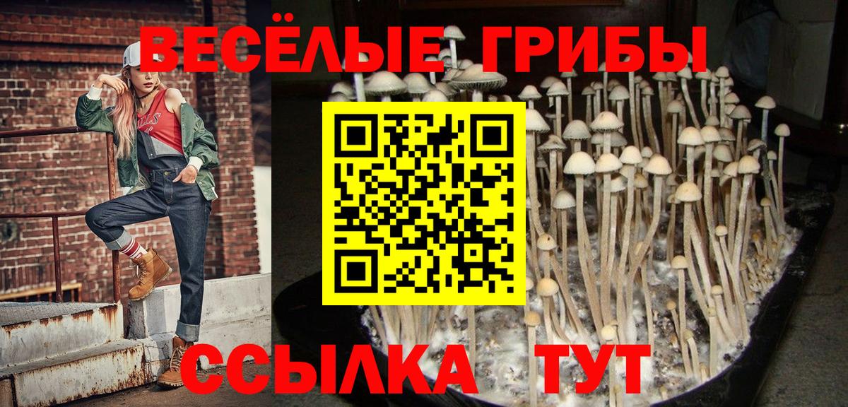Галлюциногенные грибы мицелий Тихвин